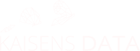 Logo Kaisens Data