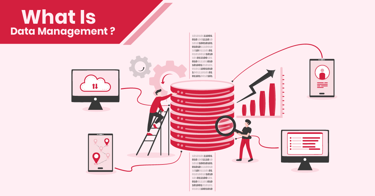 Image-Article-Data Management : Tout ce que vous devez savoir  -Kaisens Data